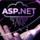 ASP.Net Development Companies
