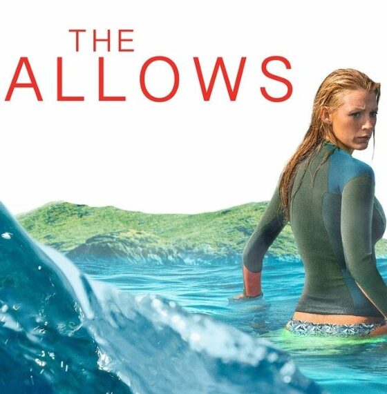 The Shallows