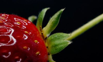 OMGiestrawberry